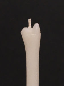 Hand Poured Human Ulna Bone Candle
